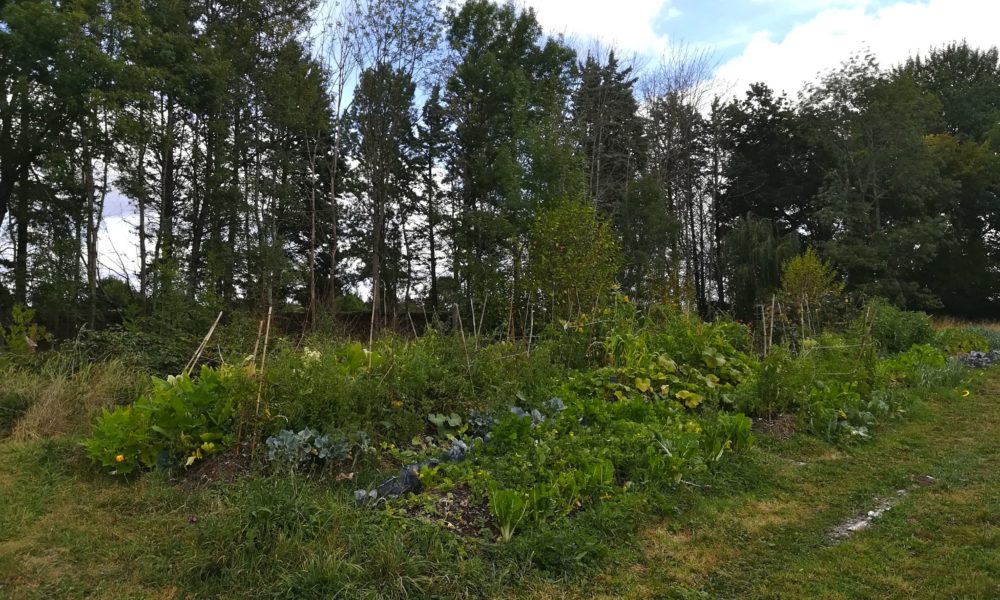 Permaculture Abbaye de l'Epau Permaculture abbaye Epau Sarthe