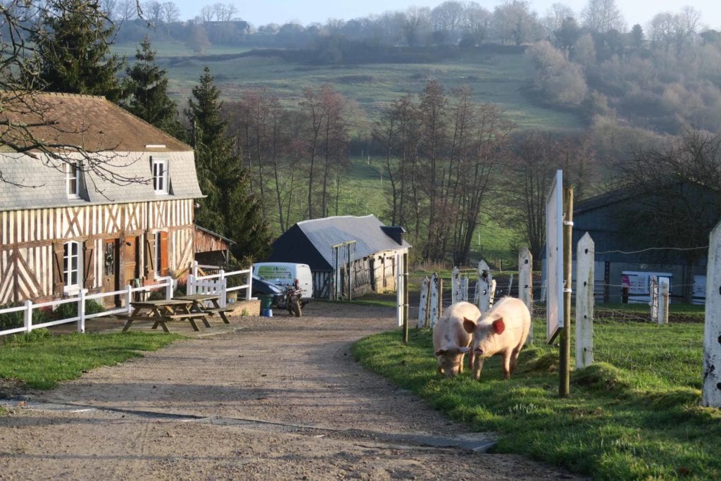 ferme pédagogique douville en auge