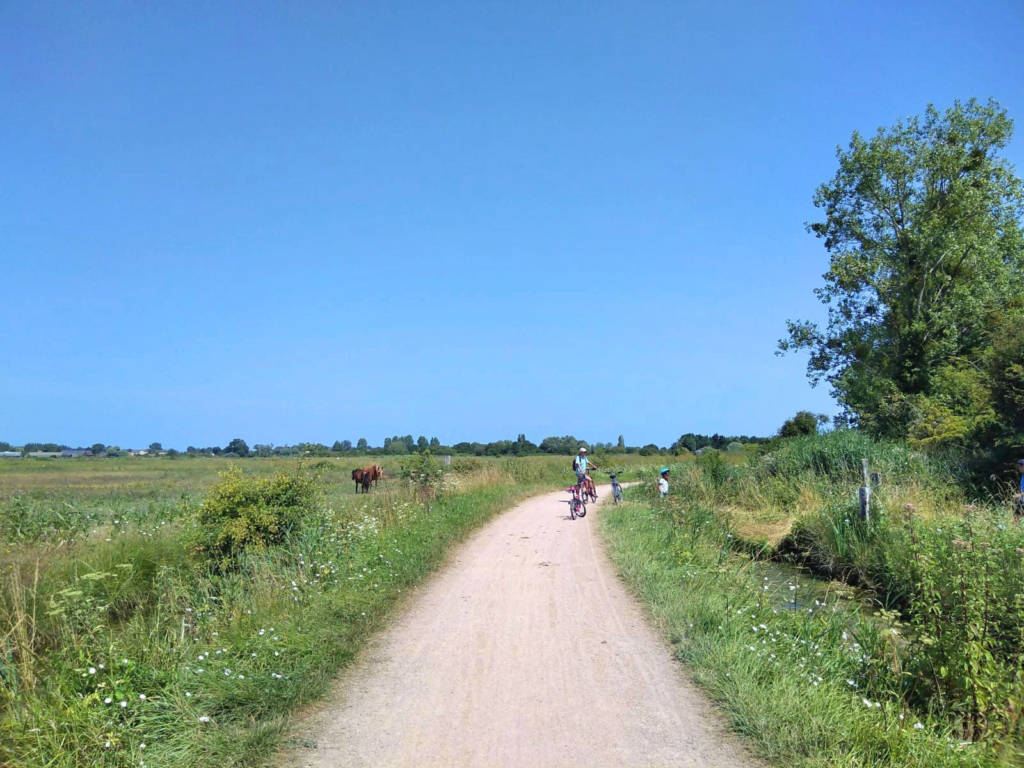 Vélo dans les marais de Cabourg